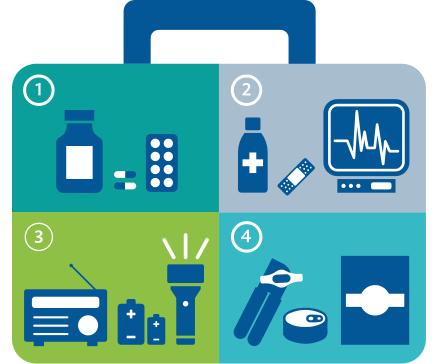 Dialysis emergency kit checklist